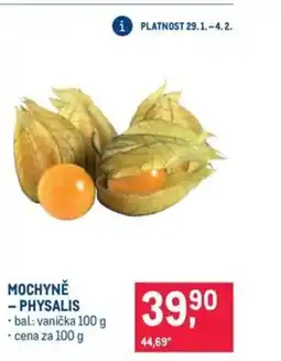 Makro Mochyně - physalis nabídka