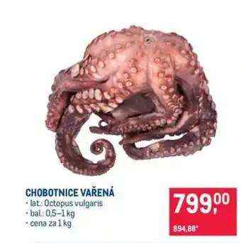 Makro Chobotnice vařená nabídka