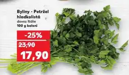 Kaufland Byliny - petržel hladkolistá nabídka