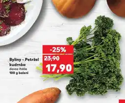 Kaufland Byliny - petržel kudrnka nabídka