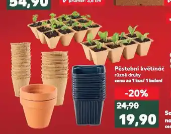 Kaufland Pěstební květináč nabídka