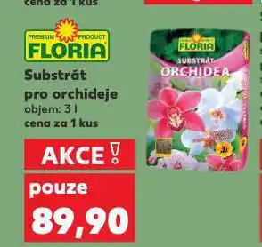 Kaufland Substrát pro orchideje nabídka