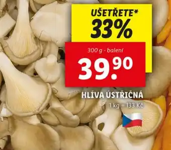 Lidl Hlíva ústřičná nabídka