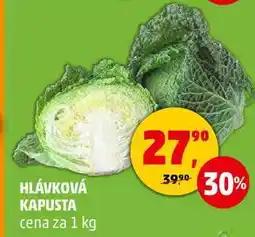 Penny Market HLÁVKOVÁ KAPUSTA, 1 kg nabídka
