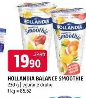 Terno Hollandia balance smoothie 230g nabídka