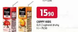 Terno Cappy kids 0,2l vybrané druhy nabídka