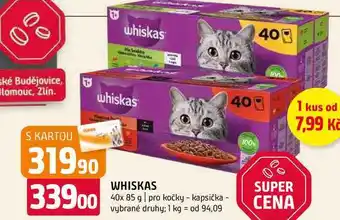 Terno Whiskas 40x 85 g pro kočky kapsička vybrané druhy nabídka