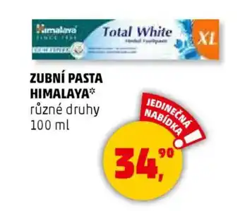 Penny Market Zubní pasta himalaya nabídka