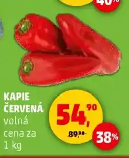 Penny Market Kapie červená volná nabídka