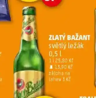 Penny Market ZLATÝ BAŽANT světlý ležák nabídka