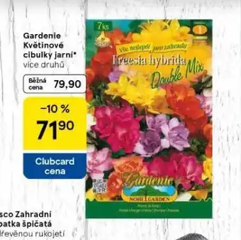 Tesco Gardenie květinové cibulky jarní nabídka