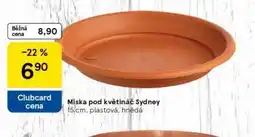 Tesco Miska pod květináč sydney nabídka