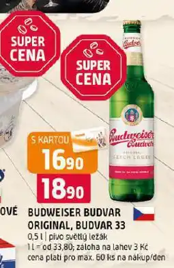 Terno Pivo budweiser budvar nabídka