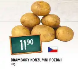 Terno Brambory konzumní pozdní nabídka