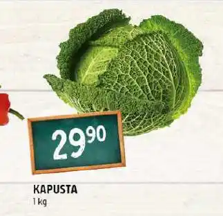 Terno Kapusta nabídka