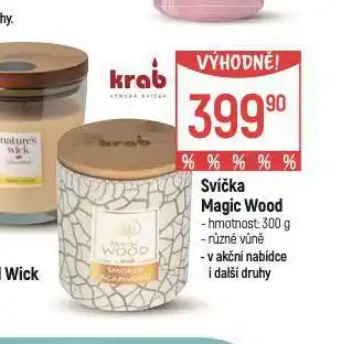 Globus Svíčka magic wood nabídka