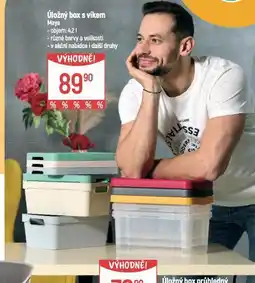 Globus Úložný box s víkem nabídka