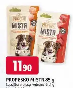 Trefa PROPESKO MISTR 85 g kapsička pro psy, vybrané druhy nabídka