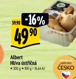 Albert Albert Hlíva ústřičná nabídka