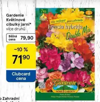 Tesco Gardenie Květinové cibulky jarní, více druhů nabídka