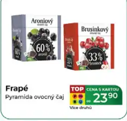 Tamda Foods Frapé Pyramida ovocný čaj nabídka