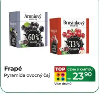 Tamda Foods Frapé Pyramida ovocný čaj nabídka