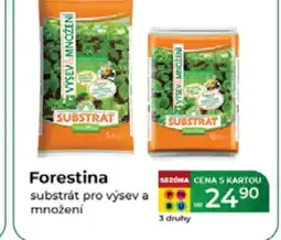 Tamda Foods Forestina substrát pro výsev a množení nabídka