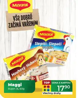 Tamda Foods Maggi bujón nabídka