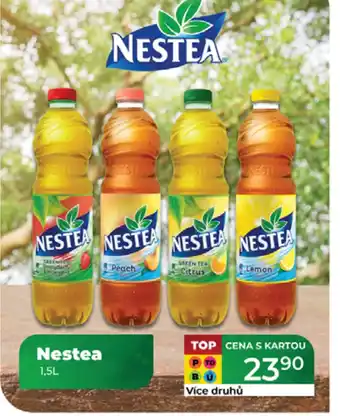 Tamda Foods Nestea nabídka