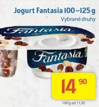 Kubík potraviny Jogurt Fantasia nabídka