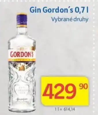 Kubík potraviny Gin Gordon's nabídka