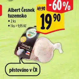 Albert Česnek tuzemsko nabídka