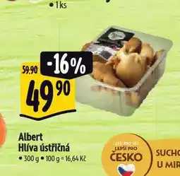 Albert Hlíva ústřičná nabídka