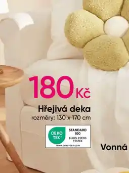 Pepco Hřejivá deka nabídka