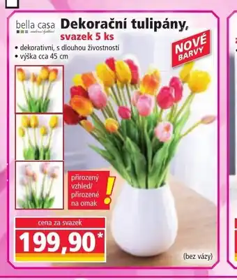 Norma bella casa Dekorační tulipány, nabídka