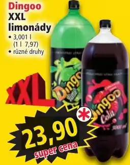 Norma Dingoo XXL limonády nabídka