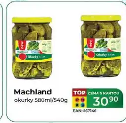 Tamda Foods Machland okurky 580ml/540g nabídka