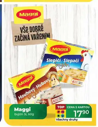 Tamda Foods Maggi bujón 3L 60g nabídka