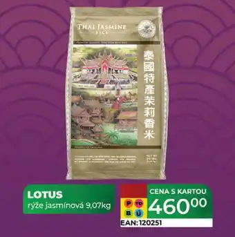 Tamda Foods LOTUS rýže jasmínová 9,07kg nabídka