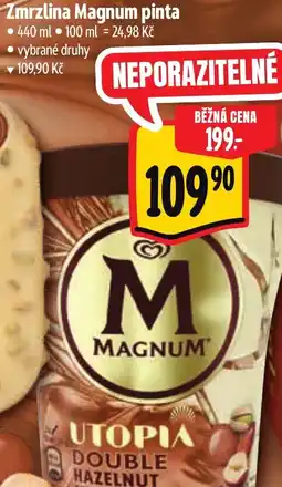 Albert Zmrzlina Magnum pinta nabídka