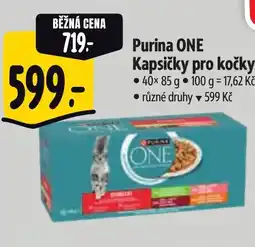 Albert PURINA One Kapsičky pro kočky nabídka