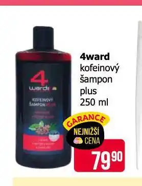 Teta 4ward kofeinový šampon nabídka