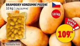 Penny Market BRAMBORY KONZUMNÍ POZDNÍ, 10 kg nabídka