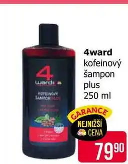 Teta 4ward kofeinový šampon plus 250 ml nabídka