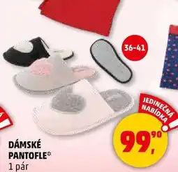 Penny Market DÁMSKÉ PANTOFLE, 1 pár nabídka