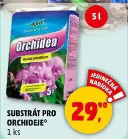 Penny Market SUBSTRÁT PRO ORCHIDEJE, 1 ks nabídka