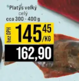 Jip Platys velký celý nabídka