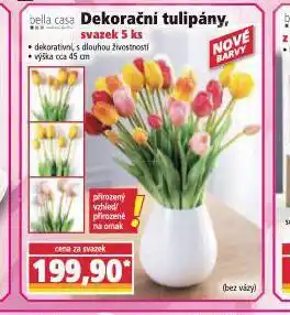 Norma Dekorační tulipány nabídka