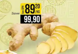 Jip Zázvor nabídka