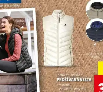 Lidl Prošívaná vesta nabídka